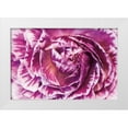 thumbnail image 1 of Marshall, Laura 32x23 White Modern Wood Framed Museum Art Print Titled - Ranunculus Abstract VI Color, 1 of 4