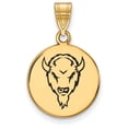 thumbnail image 1 of Marshall Medium (5/8 Inch) Enamel Disc Pendant (Gold Plated), 1 of 3