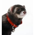 thumbnail image 1 of Marshall Pet Products Ferret Bell Collar Red, 3/8 in, 1 of 3