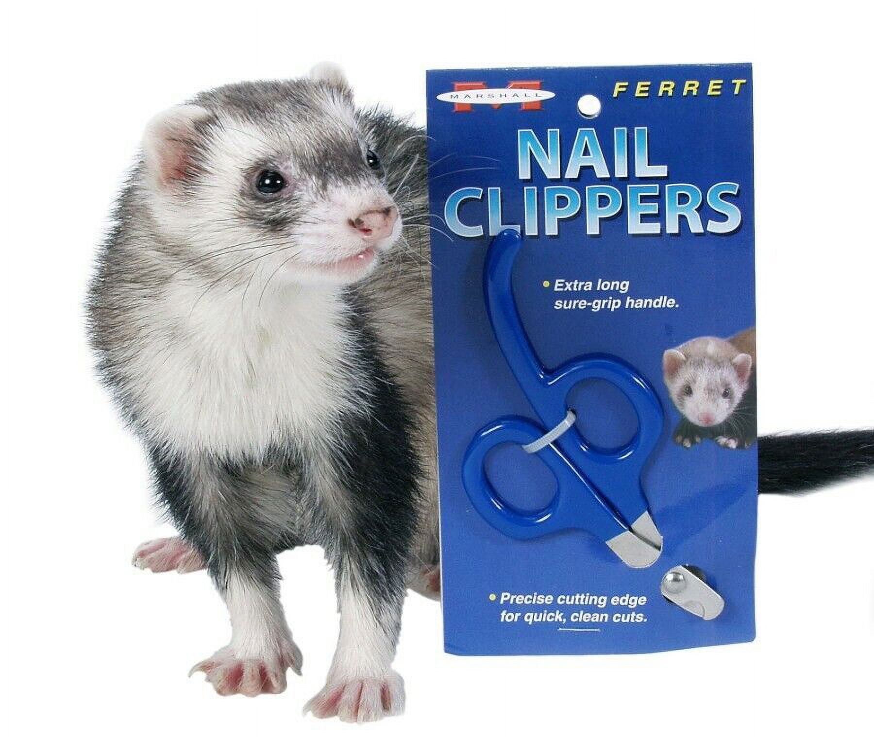 Marshall Pet Products Ferret Nail Clippers, Blue