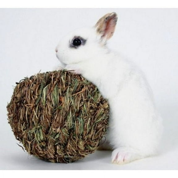Marshall Pet Products Peter's Woven Grass Play Ball Small Animal Toy, Small