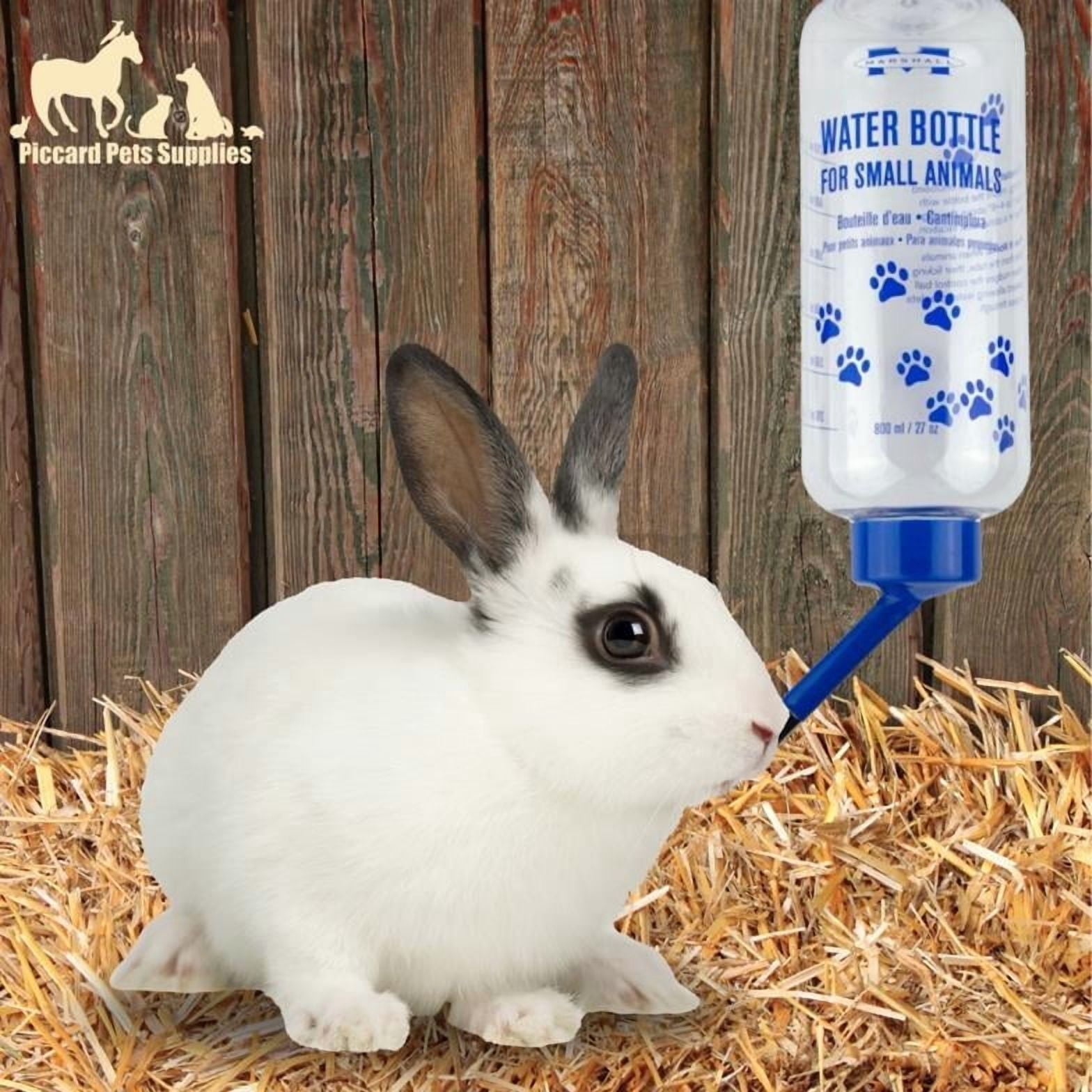 Glass Pet Water Bottles for Small Animals