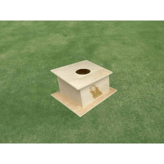 Marshall University Engraved Cornhole Pro Air Mail Box