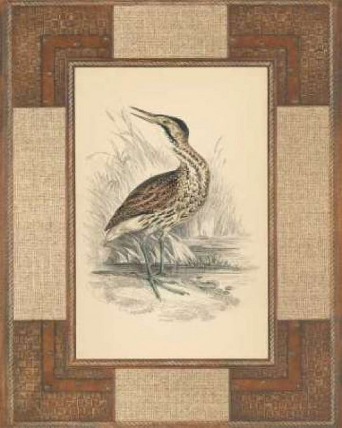 Marshland Bittern Canvas Art - Alastair Reynolds (24 x 30)