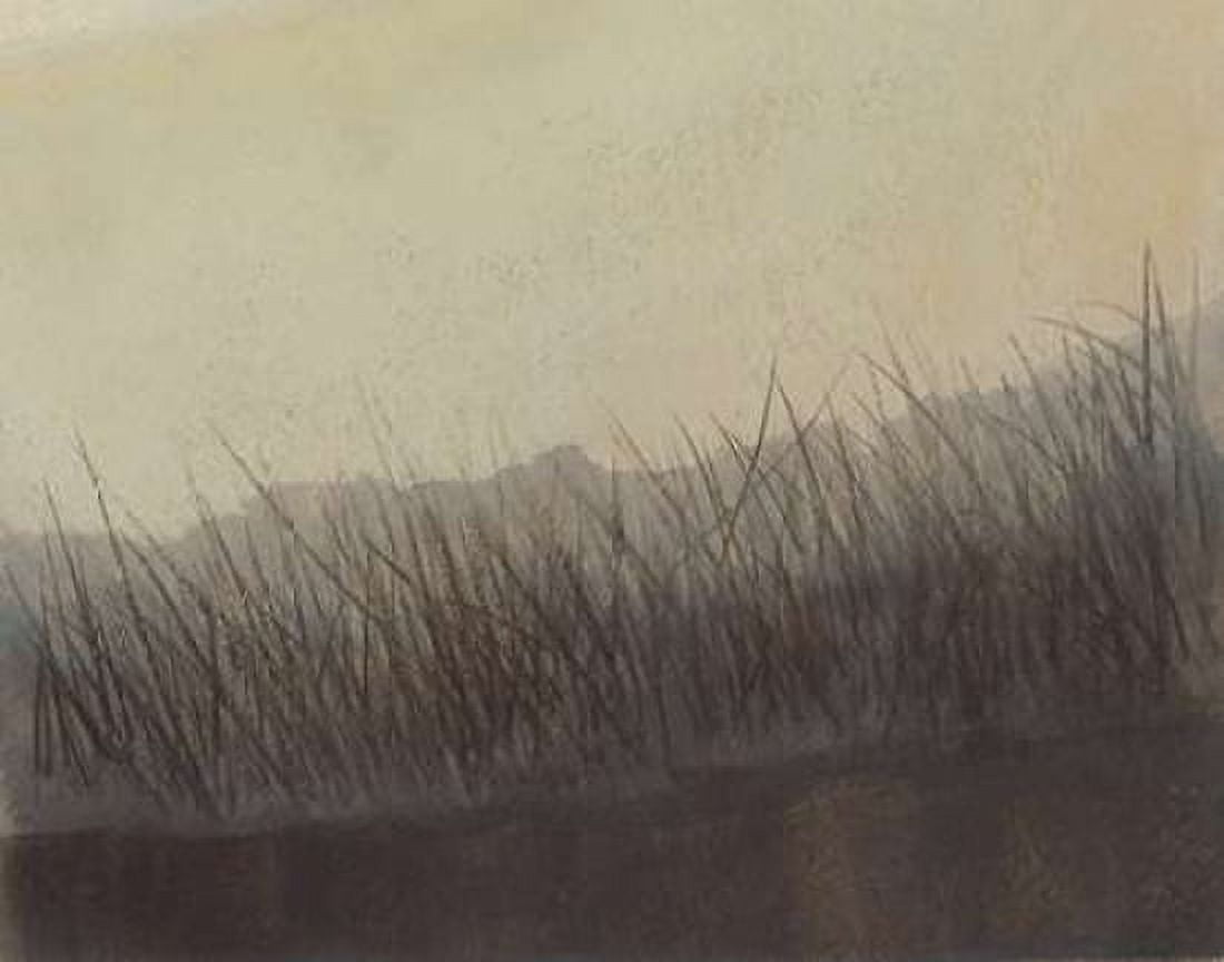 Marshland Grasses Canvas Art - Sammy Sheler (20 x 24)
