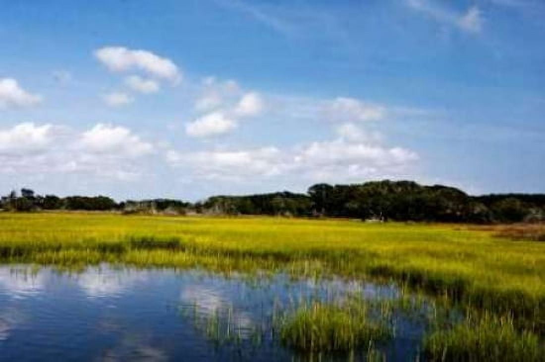 Marshland II Canvas Art - Alan Hausenflock (20 x 28)