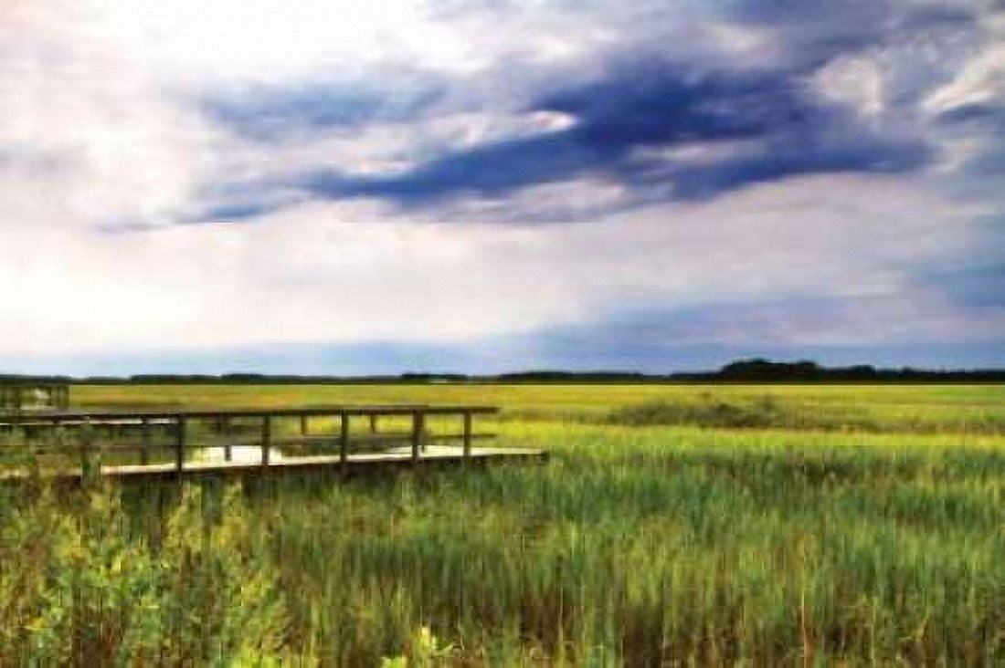 Marshland Storm I Canvas Art - Alan Hausenflock (20 x 28)