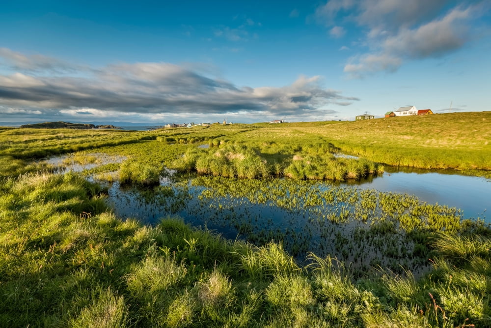 Marshlands and summer houses Flatey Island Borgarfjordur Iceland Canvas Art - Panoramic Images (27 x 9)