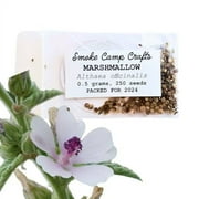 Marshmallow Seeds Althaea officinalis 250 seeds 0.5 grams