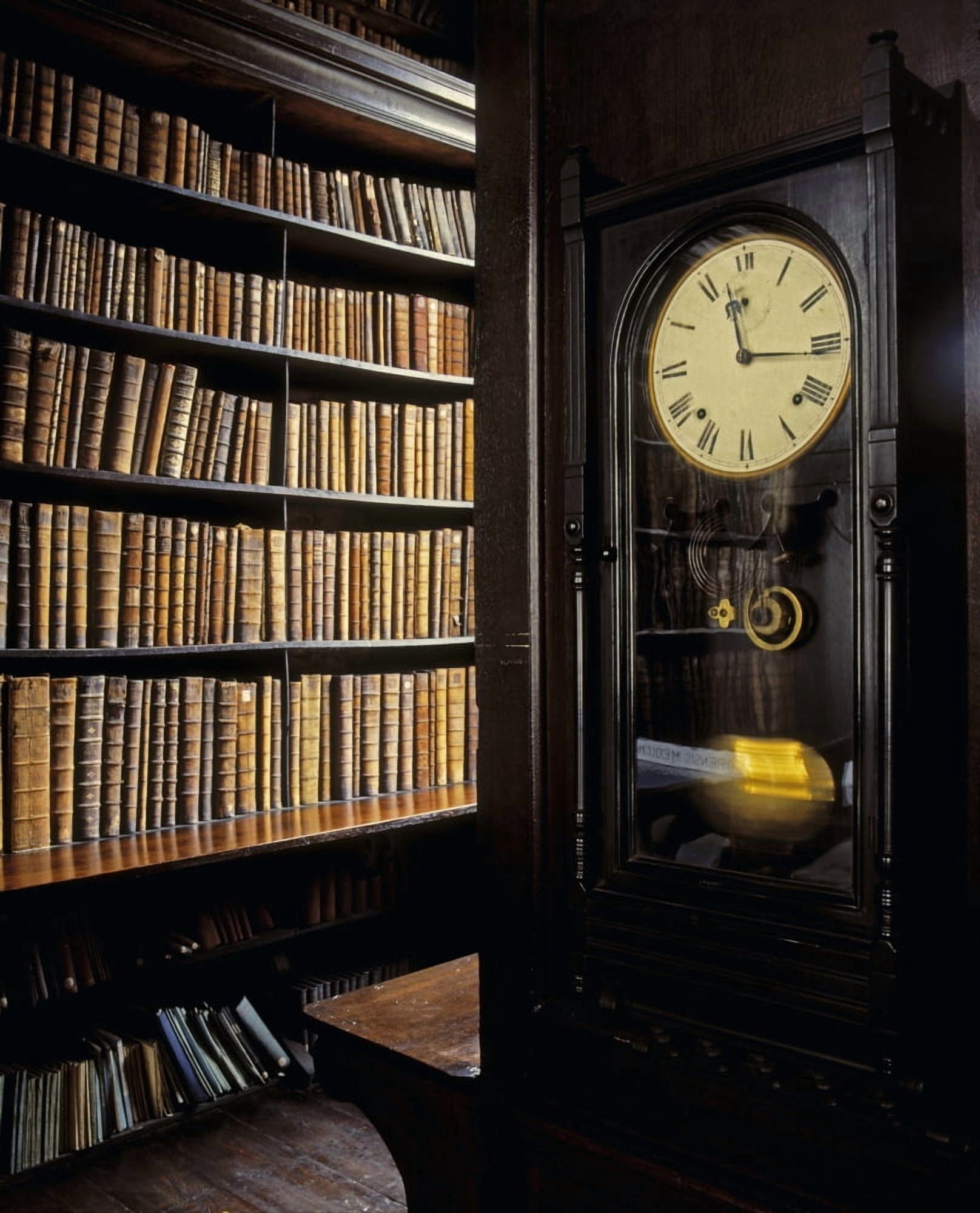 Marshs Library Dublin City Ireland Canvas Art - The Irish Image Collection Design Pics (13 x 16)
