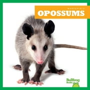 Marsupials Opossums, Hardcover