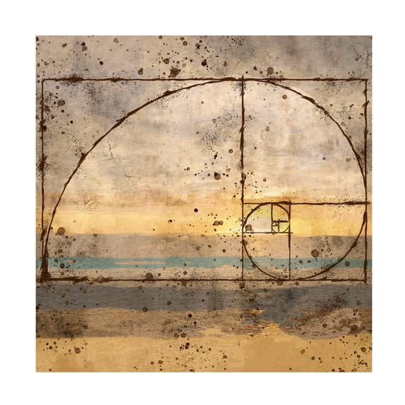 Marta Wiley 'Fibonacci Shell' Canvas Art