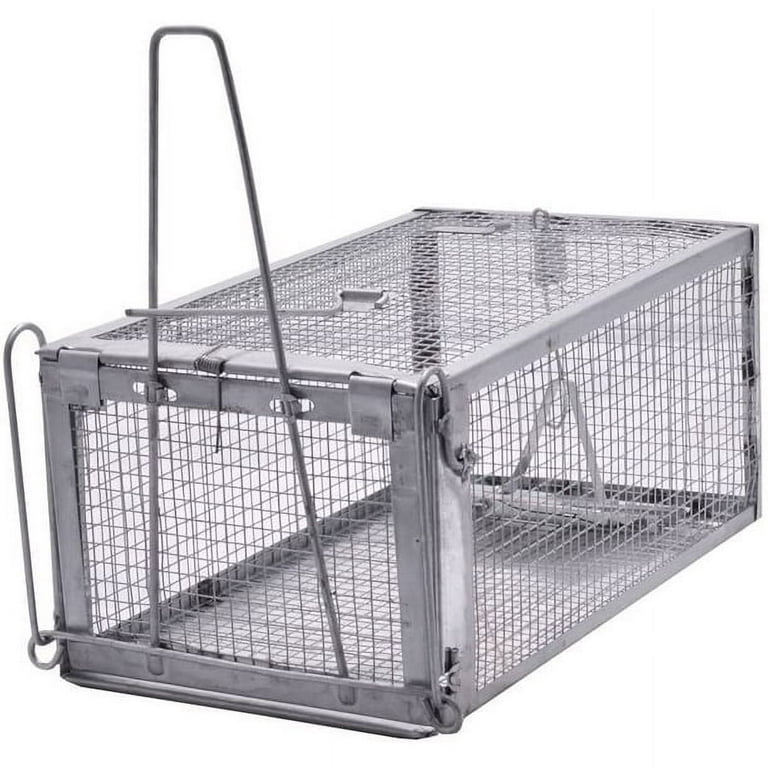 Black Iron Mouse Trap Cage: Humane Live Rat Catching Solution