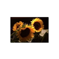 Martha Guerra, 'Sunflower II' Canvas Art