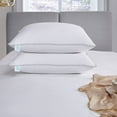 Martha Stewart 400 Thread Count Cotton Medium Firm Down Bed Pillow Standard