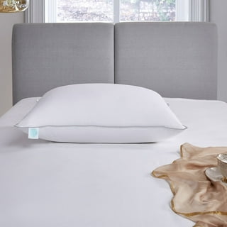 Martha stewart collection pillow cheap