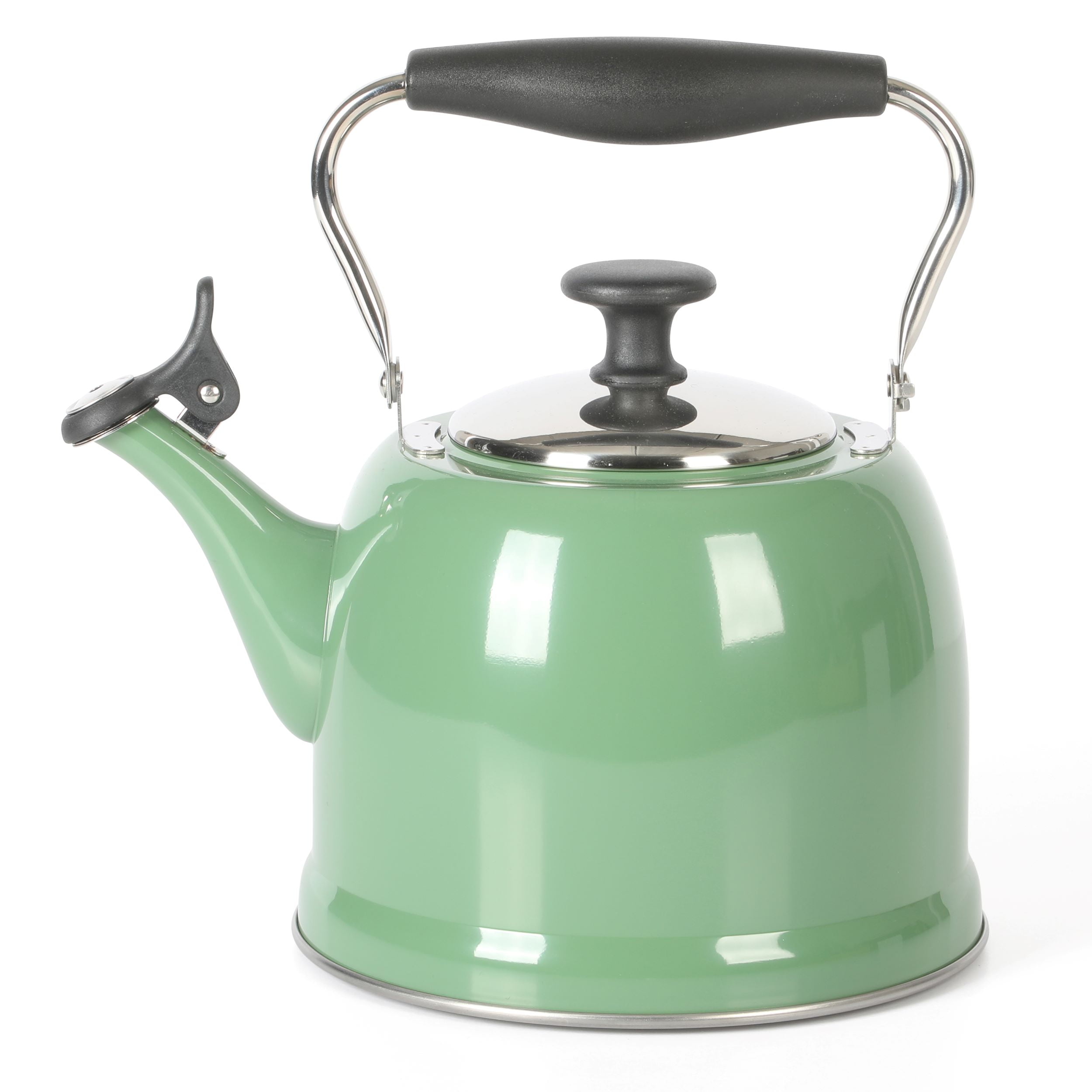 Sage Green Stainless Steel Induction Tea Kettle with Lid