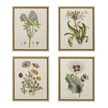 Martha Stewart Herbal Botany Framed Linen Canvas 4 Piece Set MT95C-0006