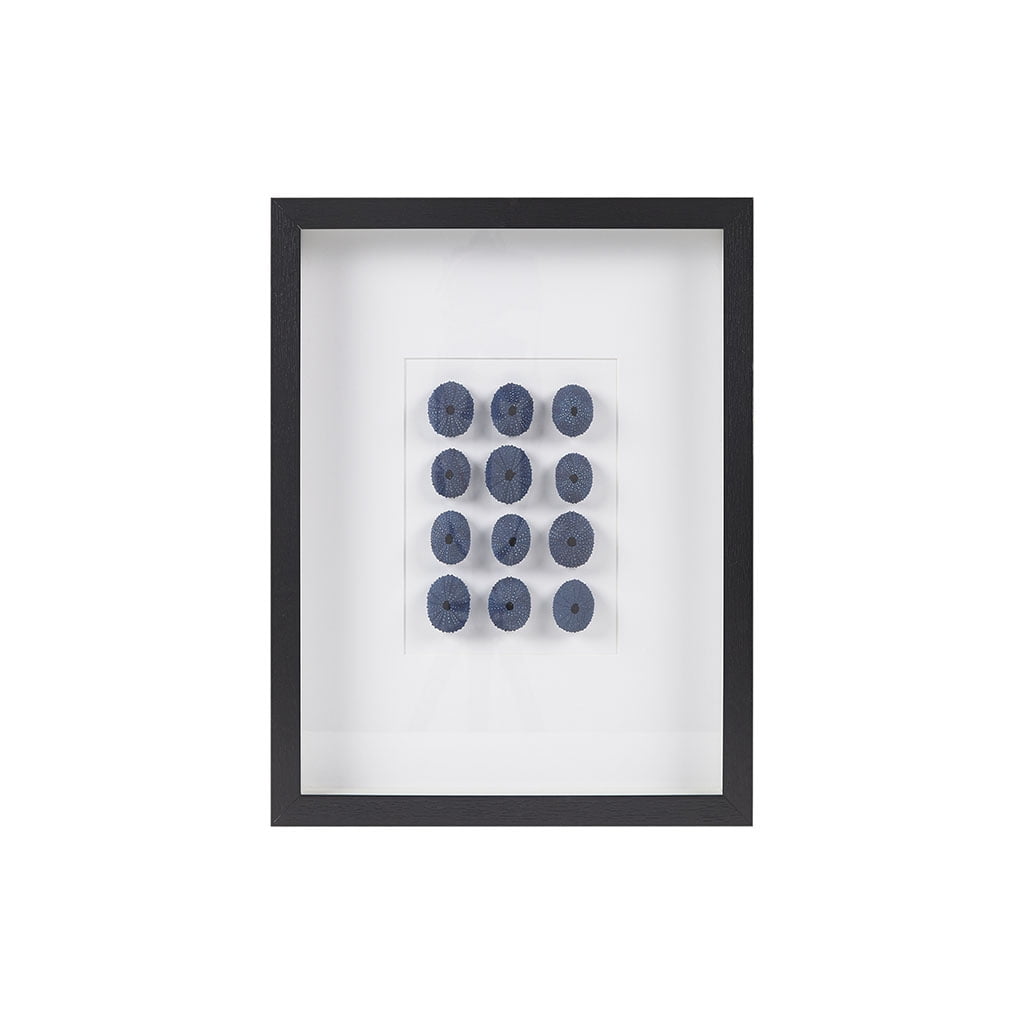 Indigo Shells Natural Sea Urchin Framed Shadowbox Art