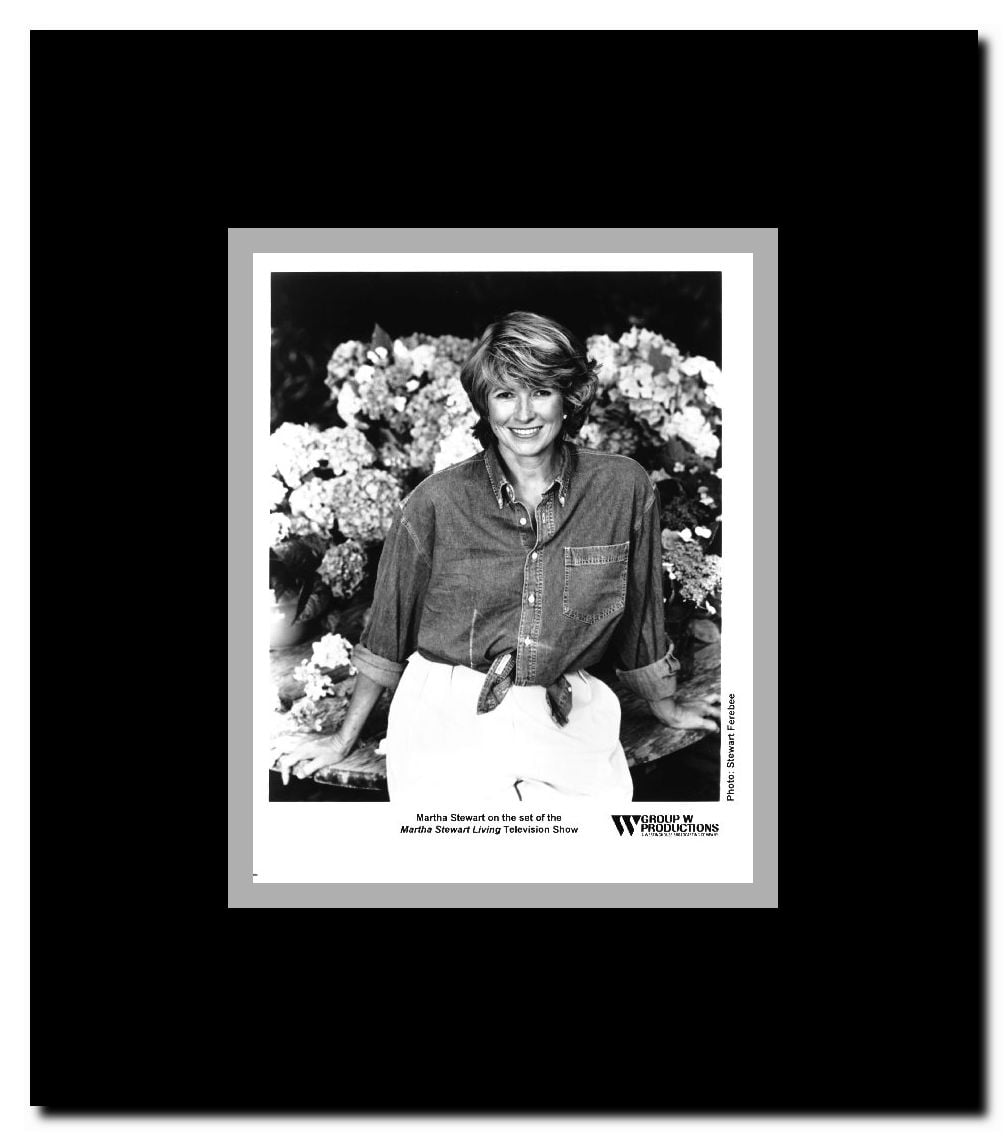 Martha Stewart Living Framed Movie Poster
