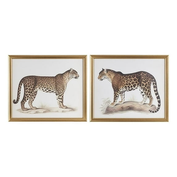 Martha Stewart The Duel Coastal Plastic Wall Decor Set in Multi-Color (Set of 2)