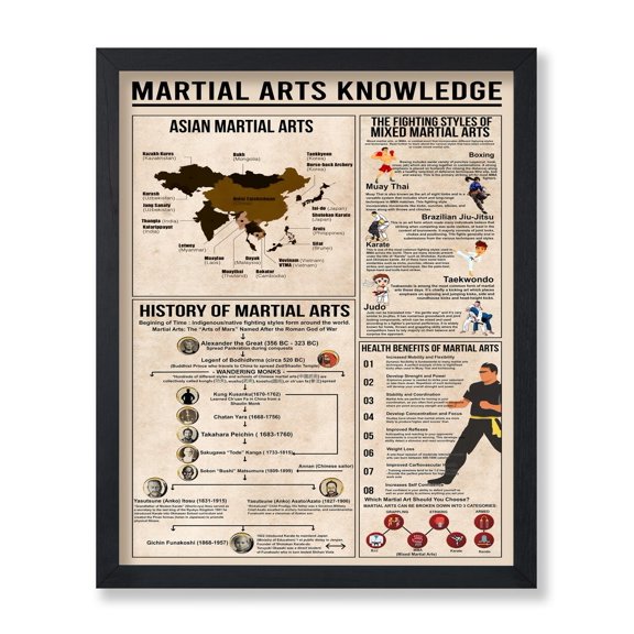 Martial Arts Fighting Styles Infographic Wall Art Decor Unframed Paper Print