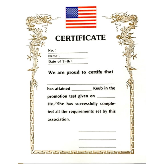 Martial Arts Rank Certificate, Any Martial Arts Karate Taekwondo Judo Jiu Jitsu Certificate