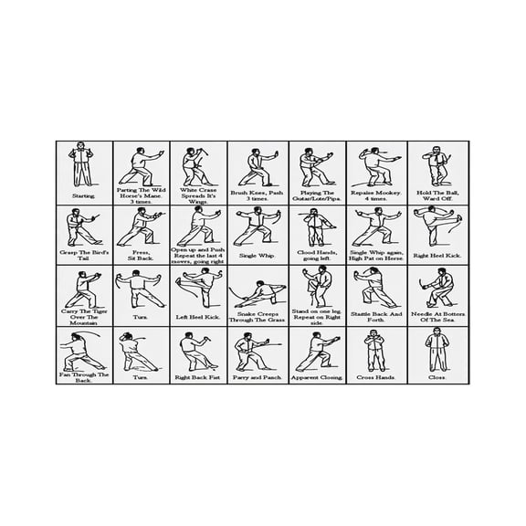 Martial Arts Wall Art Yang Style 24 Form Tai Chi Poster Educational Exercise Chart for Daily Practice Home Office Decor Fitness Guide