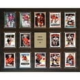 thumbnail image 1 of Martin Brodeur New Jersey Devils 16'' x 20'' Plaque, 1 of 1