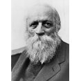thumbnail image 1 of Martin Buber (1878-1965) History (24 x 36), 1 of 1