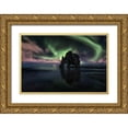 thumbnail image 1 of Martin Castan, David 32x23 Gold Ornate Wood Framed with Double Matting Museum Art Print Titled - Rhino, 1 of 4
