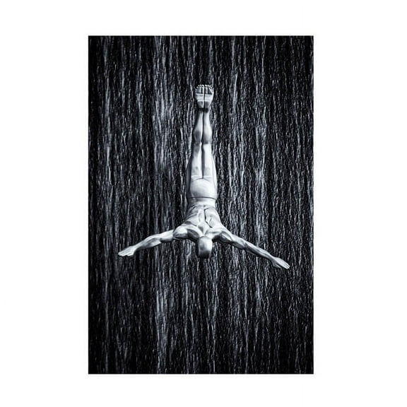 Martin Fleckenstein 'Fine Diving' Canvas Art