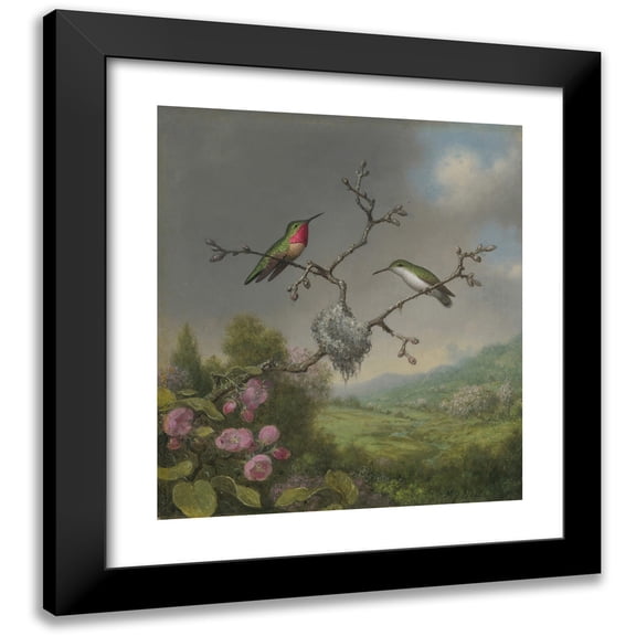 Martin Johnson Heade 15x17 Black Modern Framed Museum Art Print Titled - Hummingbirds and Apple Blossoms