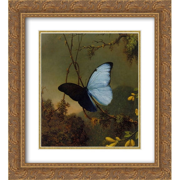 Martin Johnson Heade 2x Matted 20x24 Gold Ornate Framed Art Print 'Blue Morpho Butterfly'
