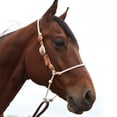 thumbnail image 1 of Martin Saddlery Adjustable Headsetter With Rope Nose, 1 of 2
