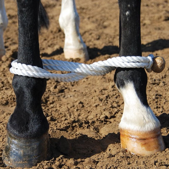 Martin Saddlery Rope Hobble with Rawhide Button