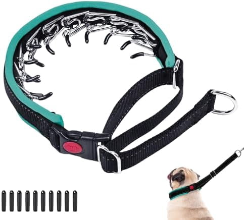 Martingale Collar - Hidden No Pull Dog Collar with Buckle, Reflective Nylon Adjustable Limited Slip Collar for Large, Medium, Small Dogs - Anti Pull Training Walking S Green