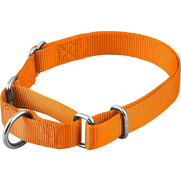 Martingale Dog Collar, Adjustable for Small, Medium, Large pet and Puppies Accessories, Cute Colors for Male, Female, boy, Girl, Puppy (Large, Orange)