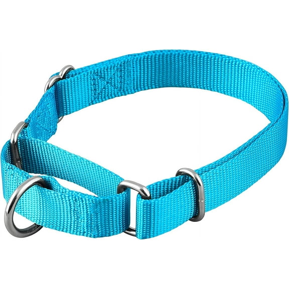 Martingale Dog Collar, Adjustable for Small, Medium, Large pet and Puppies Accessories, Cute Colors for Male, Female, boy, Girl, Puppy (Small, Blue Turquoise)