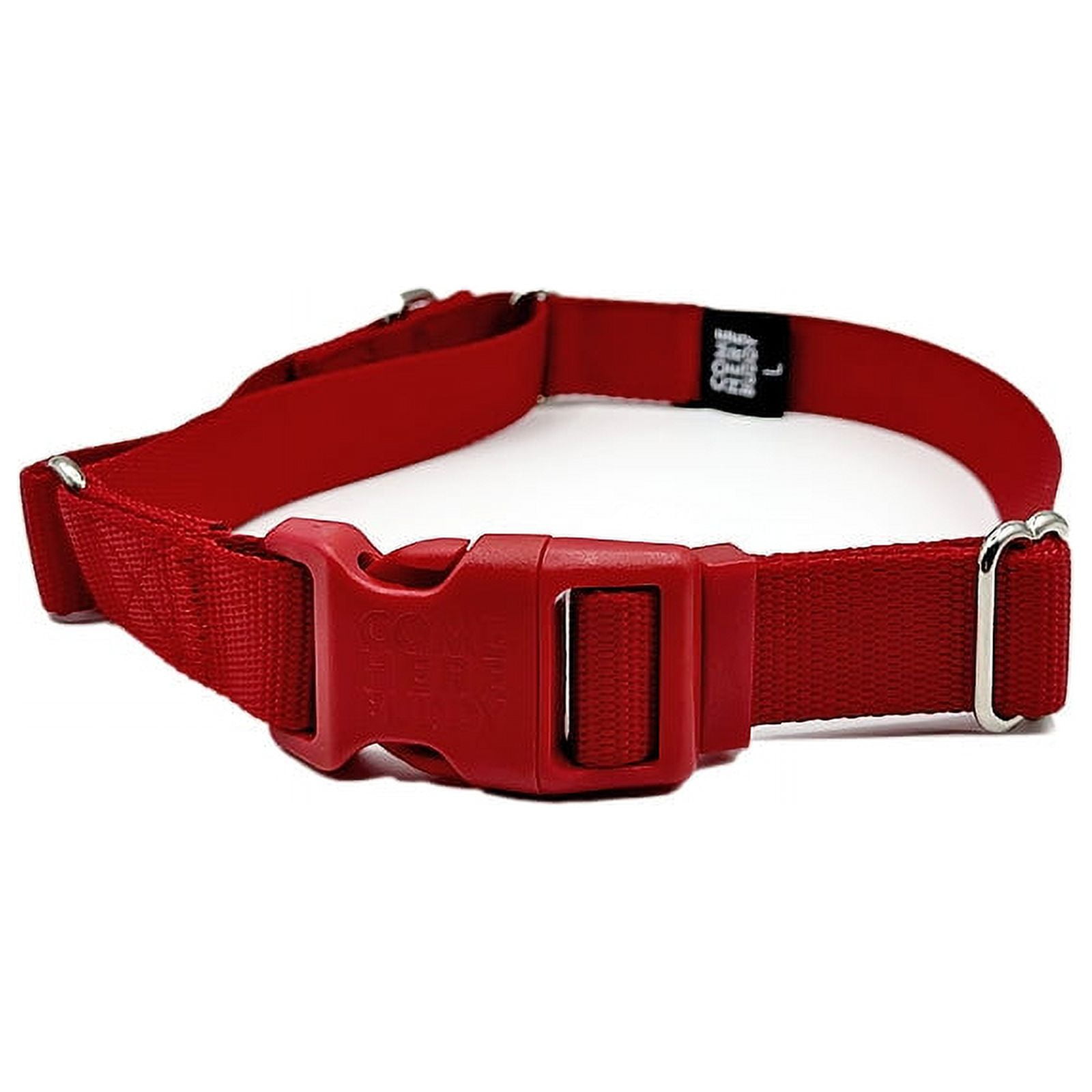 Martingale Dog Collar