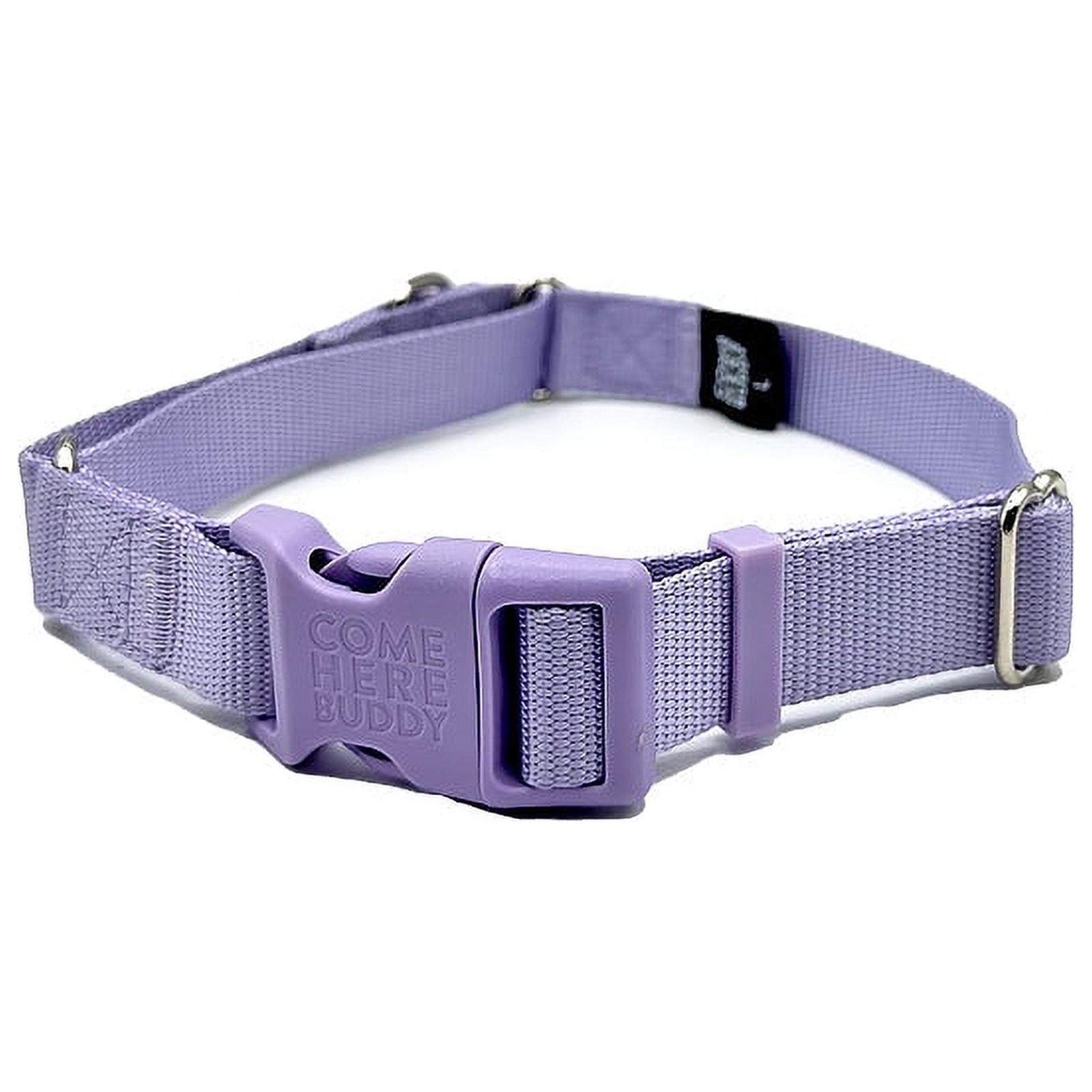 Martingale Dog Collar