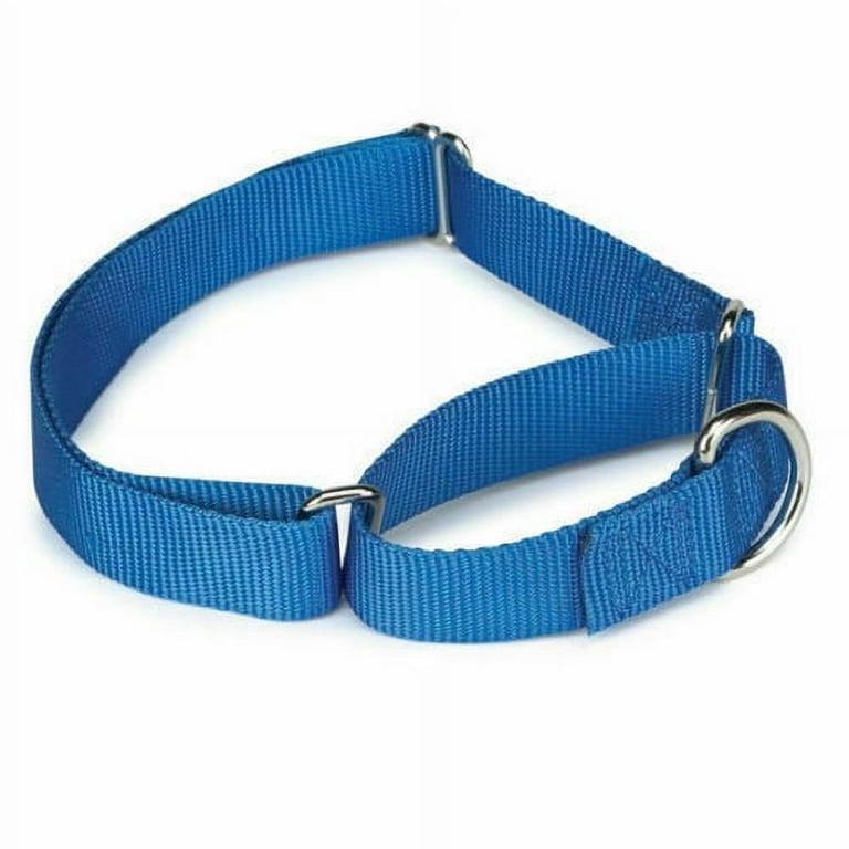 Martingale Dog Collars Adjustable Nylon Choke No Pull Training Pick Color Size Blue 10 16 Walmart