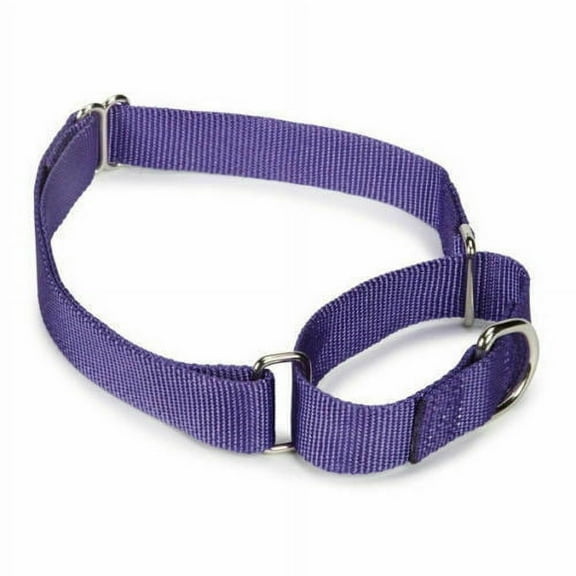 Martingale Dog Collars Adjustable Nylon Choke No Pull Training Pick Color & Size (Ultra Violet 14" - 20")