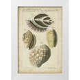 thumbnail image 1 of Martini 17x24 White Modern Wood Framed Museum Art Print Titled - Vintage Shell Study I, 1 of 4