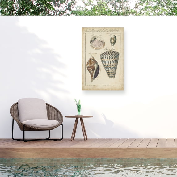 Martini 'Vintage Shell Study II' Outdoor Canvas 19x14