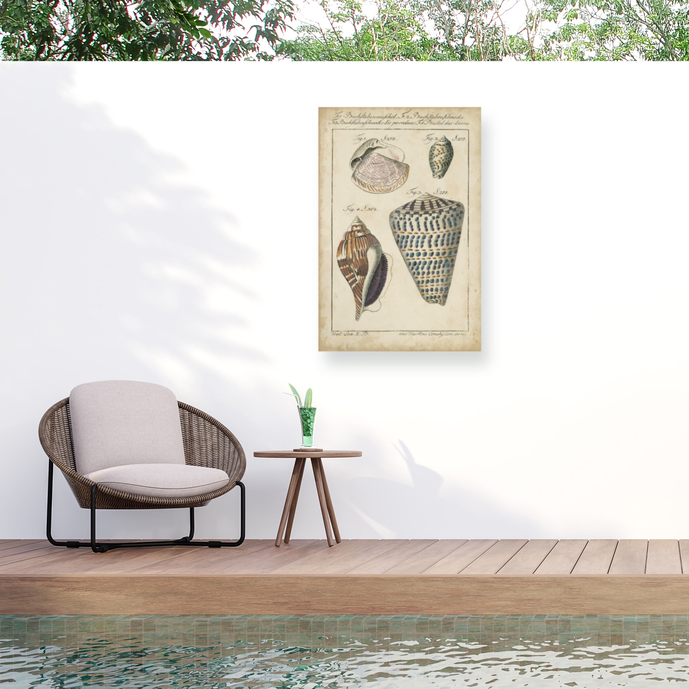 Martini 'Vintage Shell Study II' Outdoor Canvas 24x18