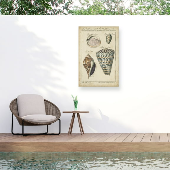 Martini 'Vintage Shell Study II' Outdoor Canvas 32x24