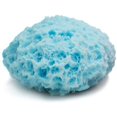 thumbnail image 1 of MartiniSPA Italian Made Ultra Soft Touch Baby Bath Sponge - Our Most Delicate Sponge, Dermatologically Tested, Latex Free, Eco-Friendly - 2 Pack/2 Units Color/Blue, 1 of 1