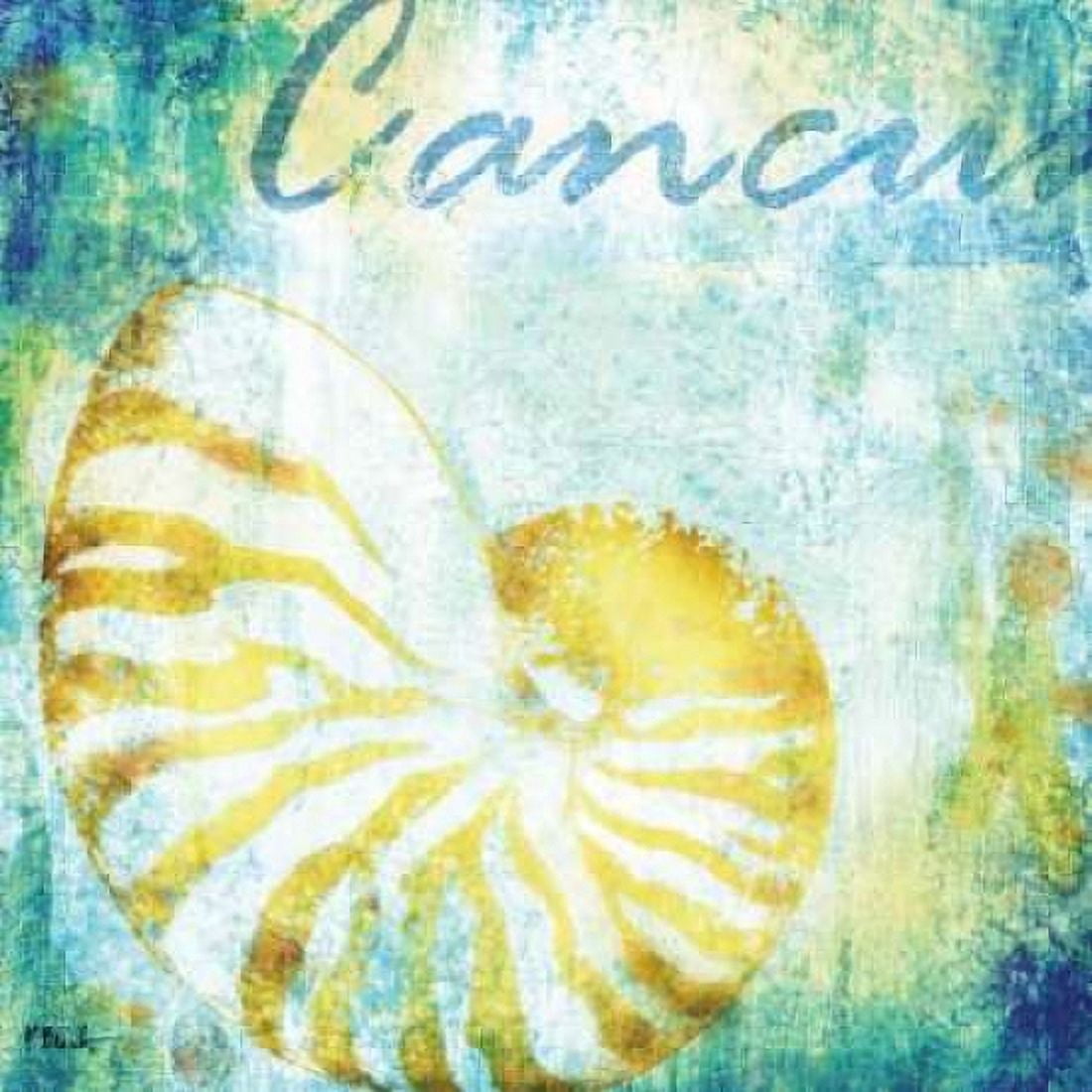 Martinique Shells I Canvas Art - Paul Brent (24 x 24)