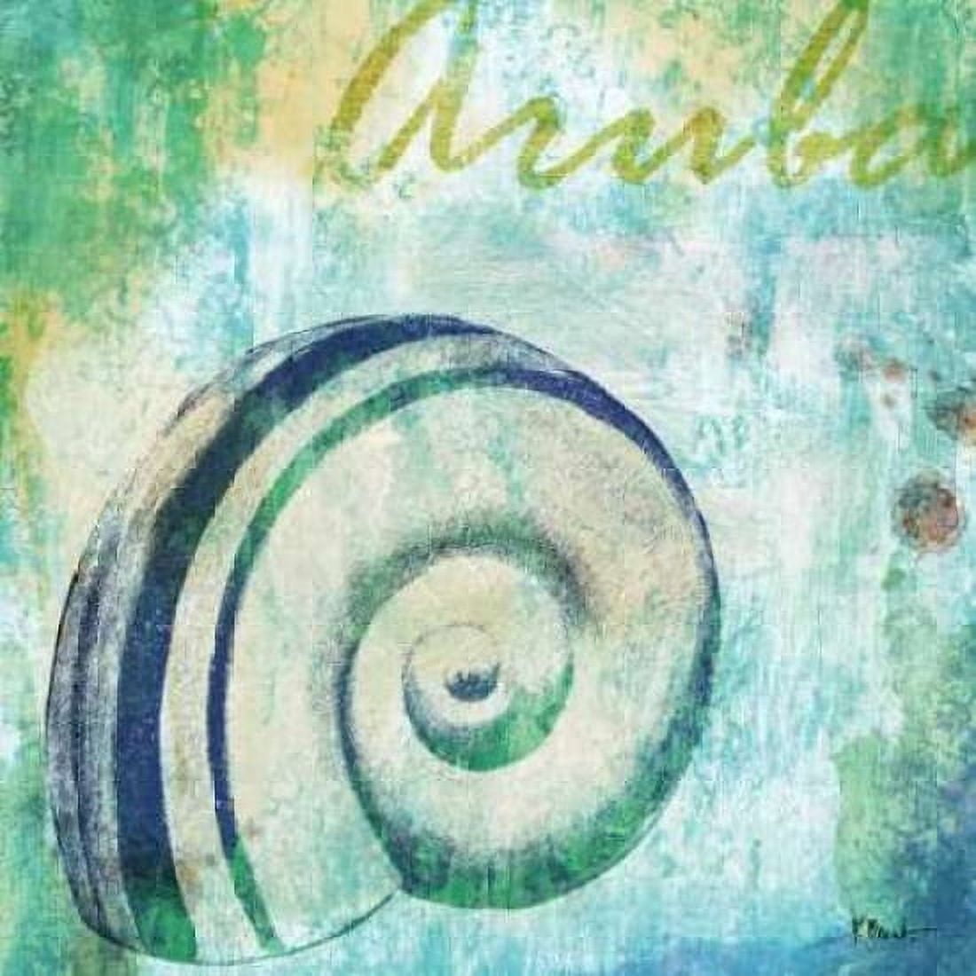 Martinique Shells III Canvas Art - Paul Brent (24 x 24)